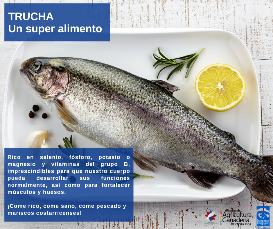 beneficios_nutricionales_trucha2.png