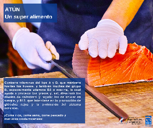 atun_5.png