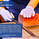 atun_5.png