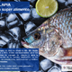 beneficios_nutricionales_tilapia4.png