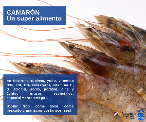 camaron_7.png