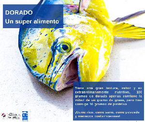 dorado_6.png