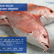pargo_rojo_12.png