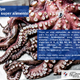 pulpo_13.png