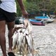 Chira0410-5790_peq.jpg
