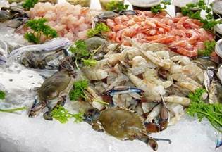 mariscos1_peq.jpg